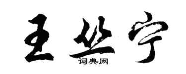 胡問遂王叢寧行書個性簽名怎么寫