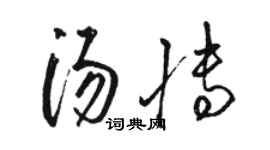 駱恆光湯博草書個性簽名怎么寫