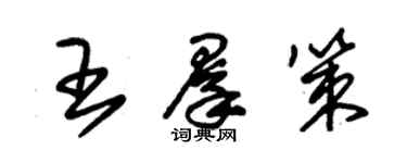 朱錫榮王群策草書個性簽名怎么寫