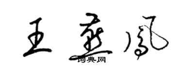 梁錦英王燕鳳草書個性簽名怎么寫