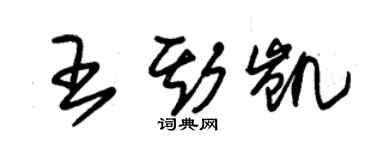 朱錫榮王斯凱草書個性簽名怎么寫