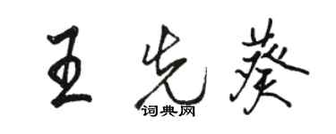 駱恆光王先葵行書個性簽名怎么寫