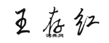 駱恆光王存紅行書個性簽名怎么寫