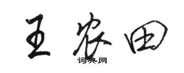 駱恆光王農田行書個性簽名怎么寫