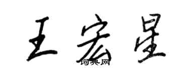王正良王宏星行書個性簽名怎么寫