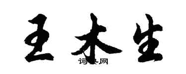 胡問遂王木生行書個性簽名怎么寫