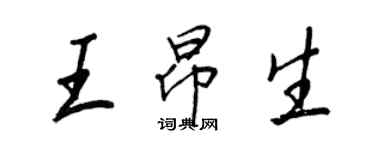 王正良王昂生行書個性簽名怎么寫