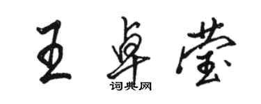 駱恆光王卓瑩行書個性簽名怎么寫