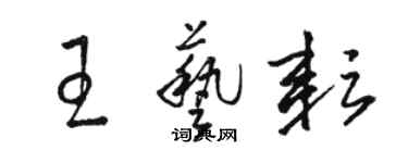 駱恆光王藝耘草書個性簽名怎么寫