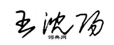 朱錫榮王瀋陽草書個性簽名怎么寫