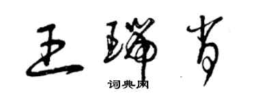 曾慶福王瑞肖草書個性簽名怎么寫