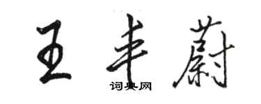 駱恆光王豐蔚行書個性簽名怎么寫