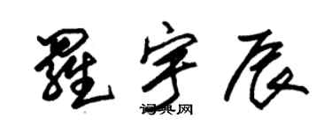 朱錫榮羅宇辰草書個性簽名怎么寫