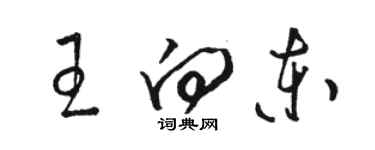 駱恆光王向東草書個性簽名怎么寫