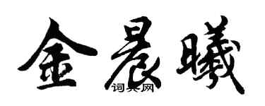 胡問遂金晨曦行書個性簽名怎么寫