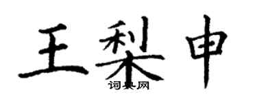 丁謙王梨申楷書個性簽名怎么寫