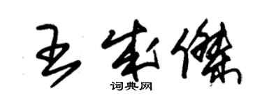 朱錫榮王成傑草書個性簽名怎么寫