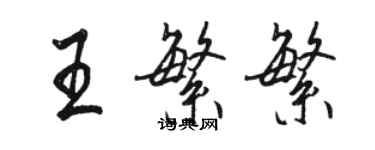 駱恆光王繁繁行書個性簽名怎么寫