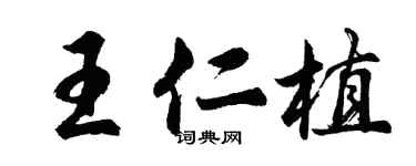 胡問遂王仁植行書個性簽名怎么寫