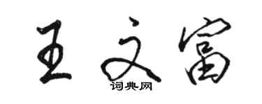 駱恆光王文富行書個性簽名怎么寫