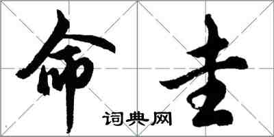 胡問遂命圭行書怎么寫