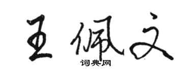 駱恆光王佩文行書個性簽名怎么寫