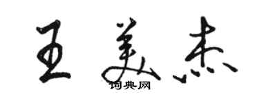 駱恆光王美傑行書個性簽名怎么寫