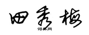 朱錫榮田秀梅草書個性簽名怎么寫