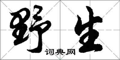 胡問遂野生行書怎么寫