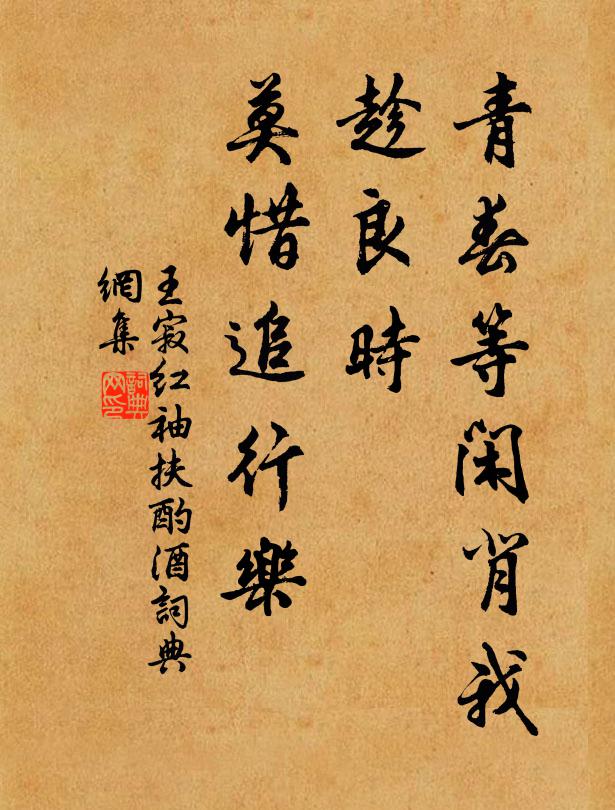 王寂青春等閒背我,趁良時、莫惜追行樂書法作品欣賞