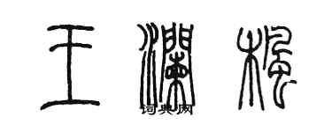 陳墨王瀾楓篆書個性簽名怎么寫