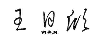 駱恆光王日欣草書個性簽名怎么寫