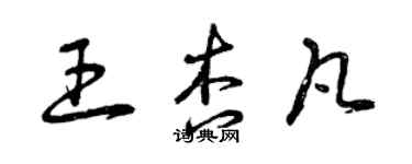 曾慶福王杏凡草書個性簽名怎么寫