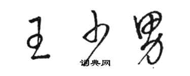 駱恆光王少男草書個性簽名怎么寫