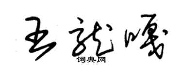 朱錫榮王龍嘎草書個性簽名怎么寫