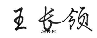 駱恆光王長領行書個性簽名怎么寫