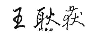 駱恆光王耿獲行書個性簽名怎么寫