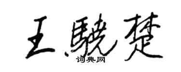 王正良王驍楚行書個性簽名怎么寫