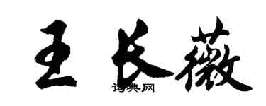 胡問遂王長薇行書個性簽名怎么寫