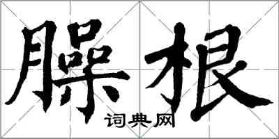 翁闓運臊根楷書怎么寫