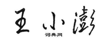 駱恆光王小澎行書個性簽名怎么寫