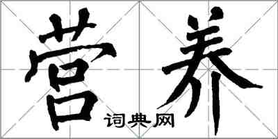 翁闓運營養楷書怎么寫