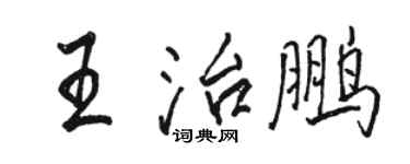 駱恆光王治鵬行書個性簽名怎么寫