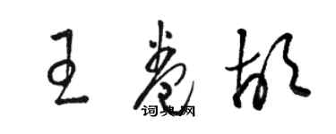 駱恆光王卷胡草書個性簽名怎么寫