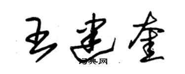 朱錫榮王建奎草書個性簽名怎么寫