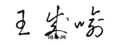 駱恆光王成喻草書個性簽名怎么寫