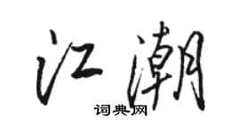 駱恆光江潮行書個性簽名怎么寫