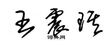 朱錫榮王震琪草書個性簽名怎么寫