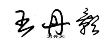 朱錫榮王丹影草書個性簽名怎么寫