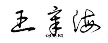 曾慶福王章海草書個性簽名怎么寫